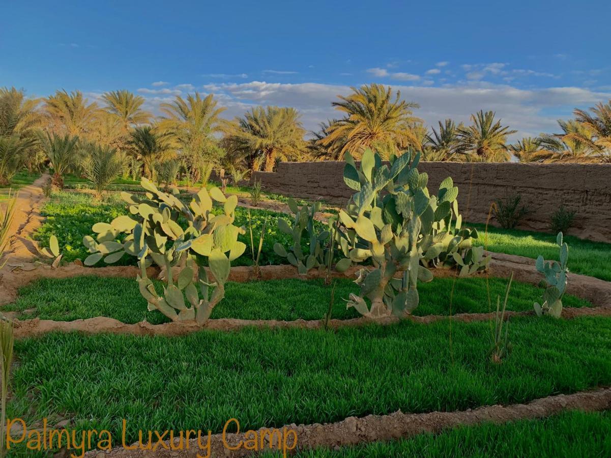 Hotel Palmyra Luxury Camp Merzouga Exterior foto